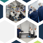 hexagon pattern with individuals working in clean room